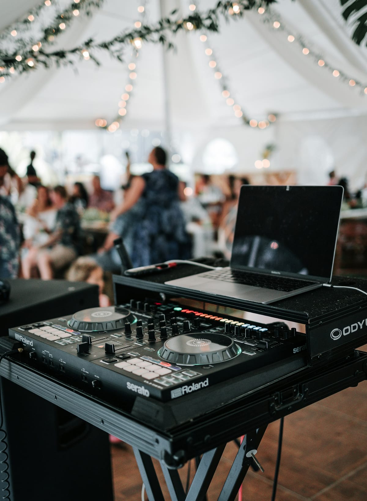 Hva koster det å leie DJ til bryllup?